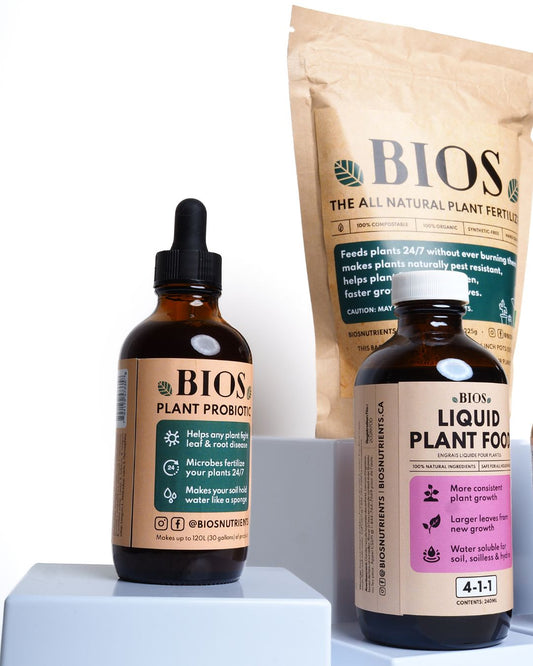 The Standard Kit+ 🌳