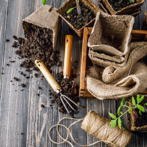 Our 6 Best Potting Soil Tips for Healthier Indoor Plants