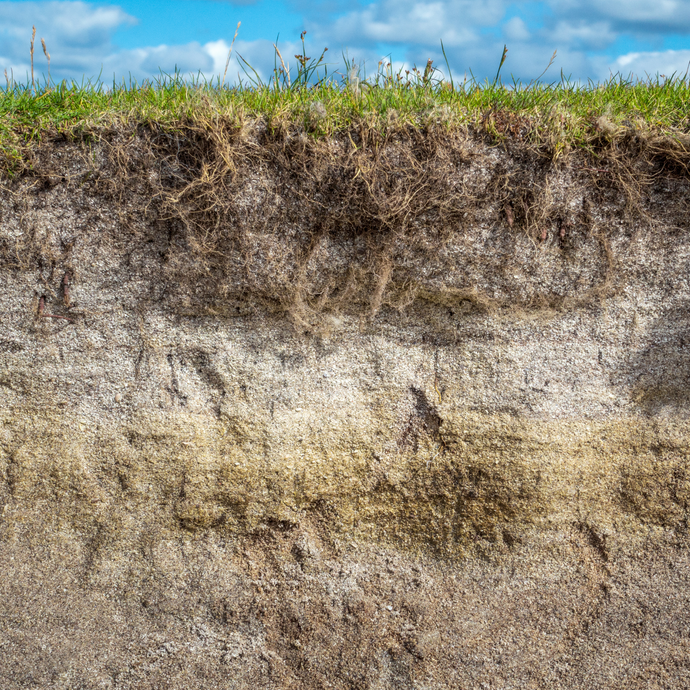 3 Major Components of Soil & Their Importance