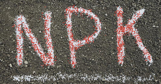 NPK For Houseplants: What Those 3 Numbers Really Mean (And Why “More” Isn’t Better)