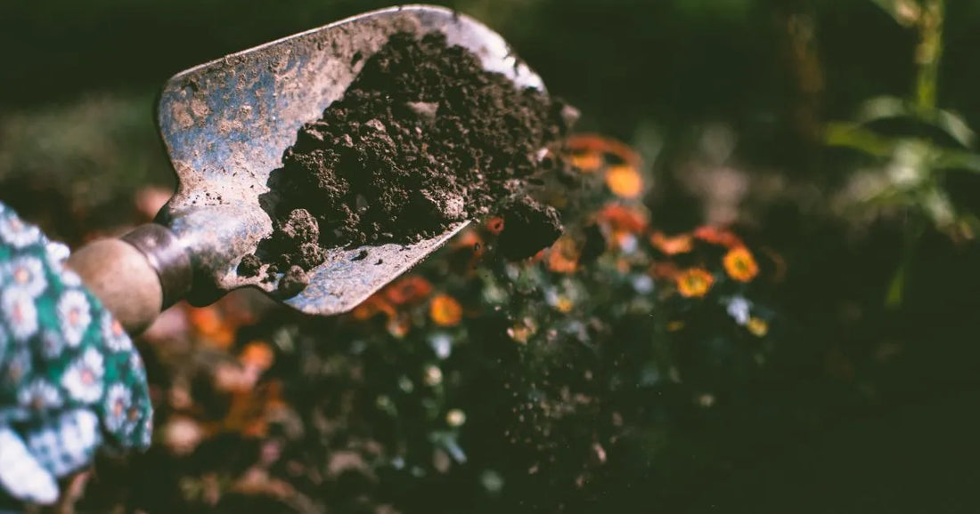 Bowl of homemade houseplant soil mix showing coco coir, perlite, bark and worm castings blended together