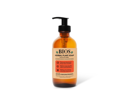 🎁 Herbal Plant Soap 🧼 - Concentrate (100% off)