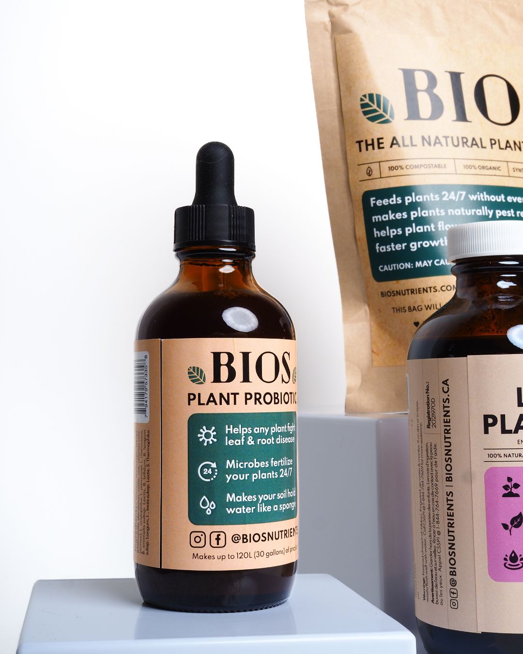 The Standard Kit 🪴