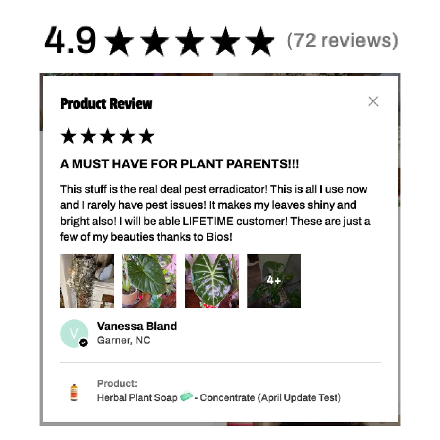 Savon Végétal aux Plantes 🧼 - Concentré