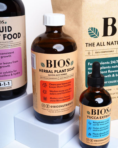 The Premium Kit 🌟