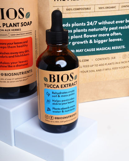 The Premium Kit 🌟