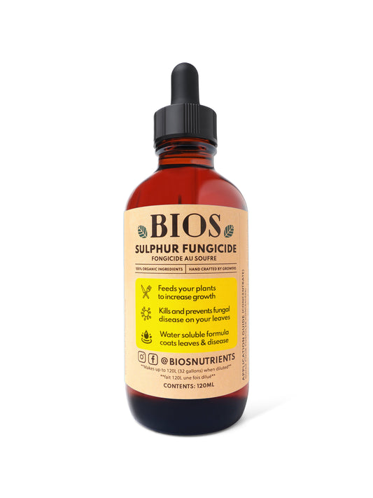🎁 Sulphur Supplement 🍄 (100% off)