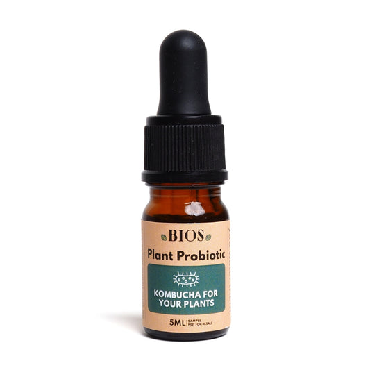 Échantillon de probiotique végétal