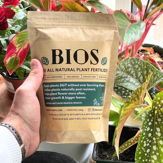 🎁 All Natural Plant Fertilizer - Never burn plants again 🔥 (100% off)