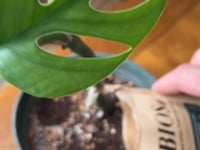 FREE Bios Fertilizer Sample Pack