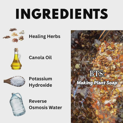 Savon Végétal aux Plantes 🧼 - Concentré