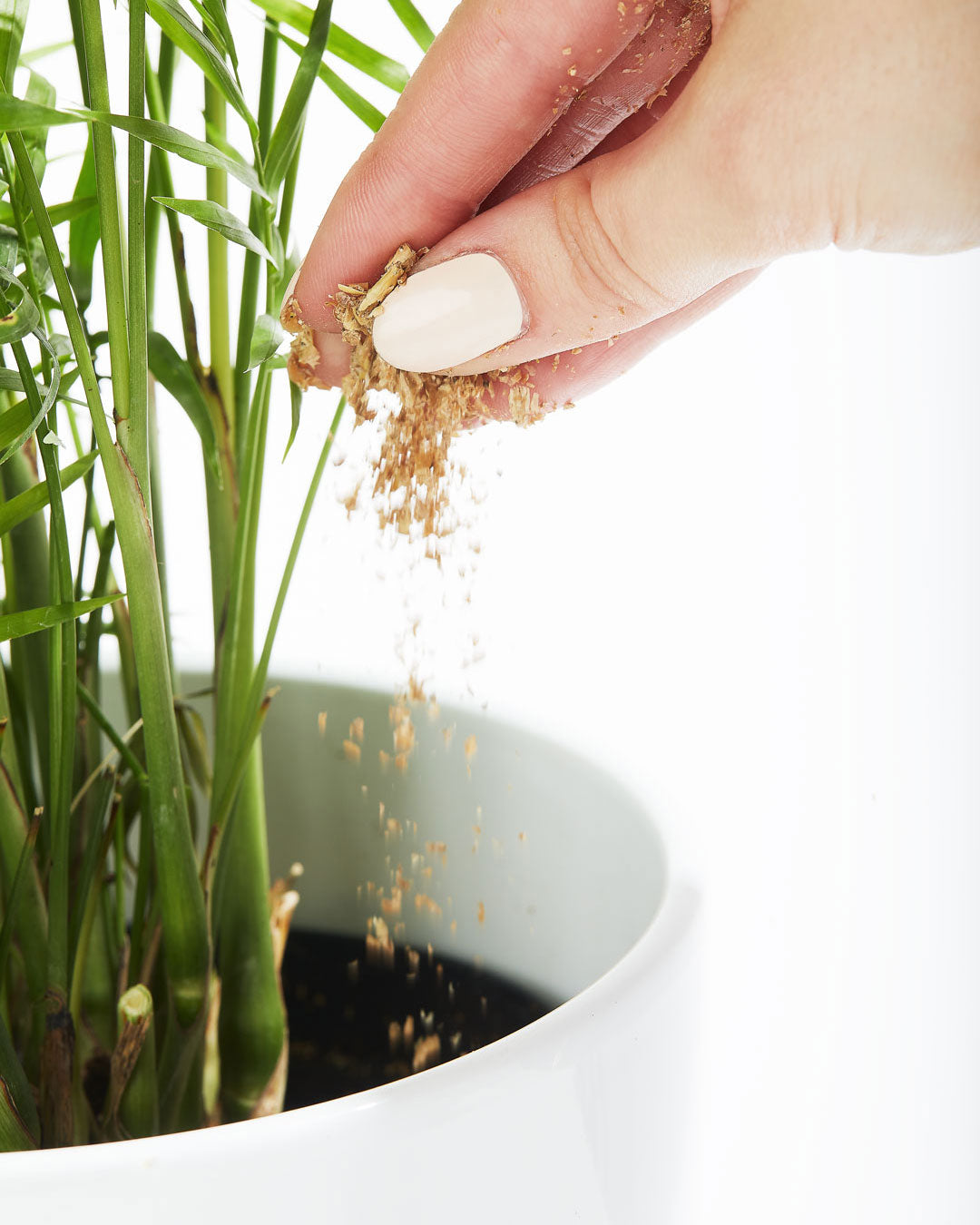 How to use Bios Fertilizer organic: Sprinkling BIOS Nutrients in a planted pot: Sprinkle 2tbsp per square foot of soil, or mix into soil at 1 cup per cubic foot.